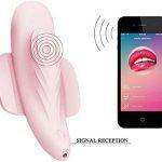 Calcinha Vibratória Bluetooth 12 Vibrações Recarregável USB